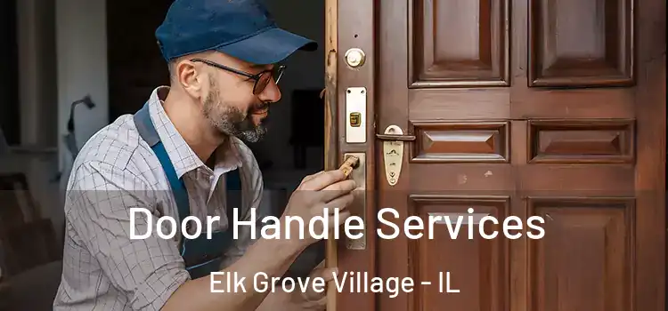 Door Handle Services Elk Grove Village - IL