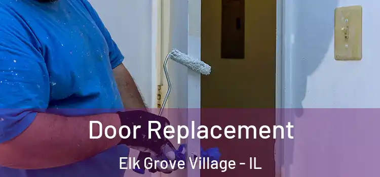 Door Replacement Elk Grove Village - IL